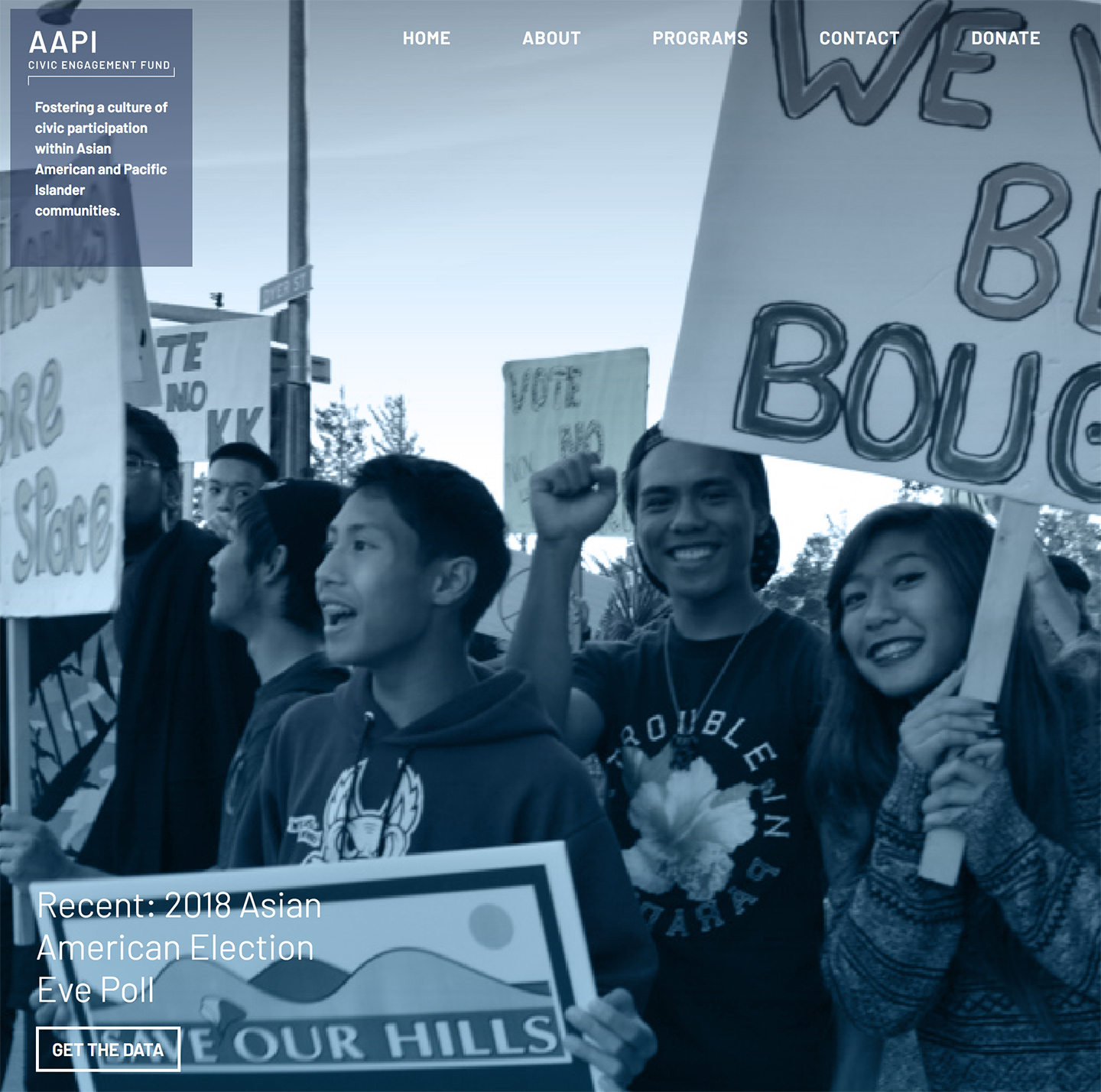 Site Overhaul for Asian American and Pacific Islander Civic Engagement Fund (AAPI)!