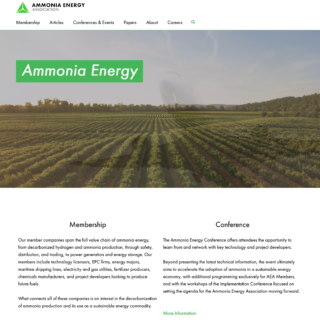 Ammonia Energy Assocation: Consulting and Prototype Development