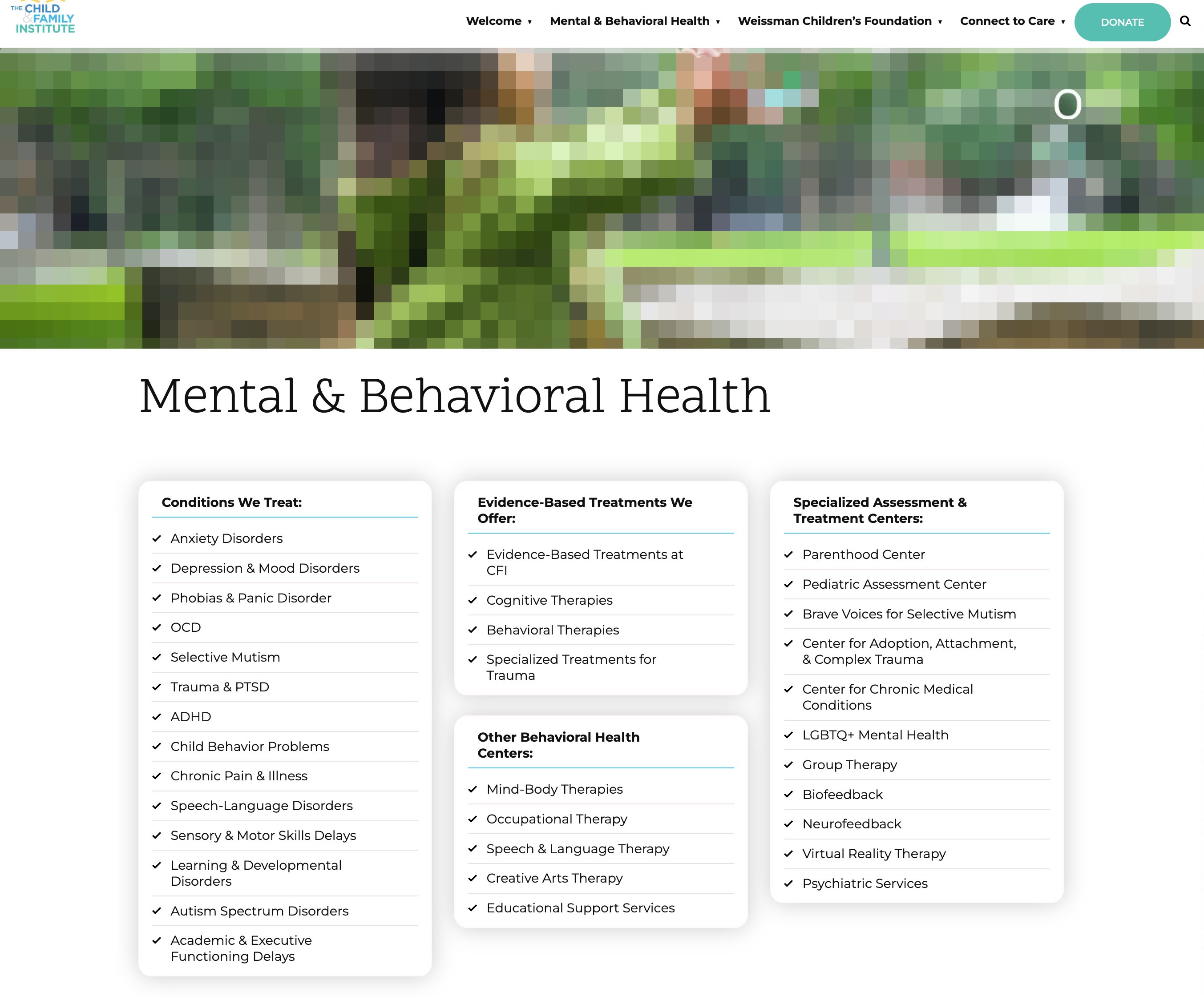 Child and Family Institute: New Website 2024: Child and Family Institute: Mental Health