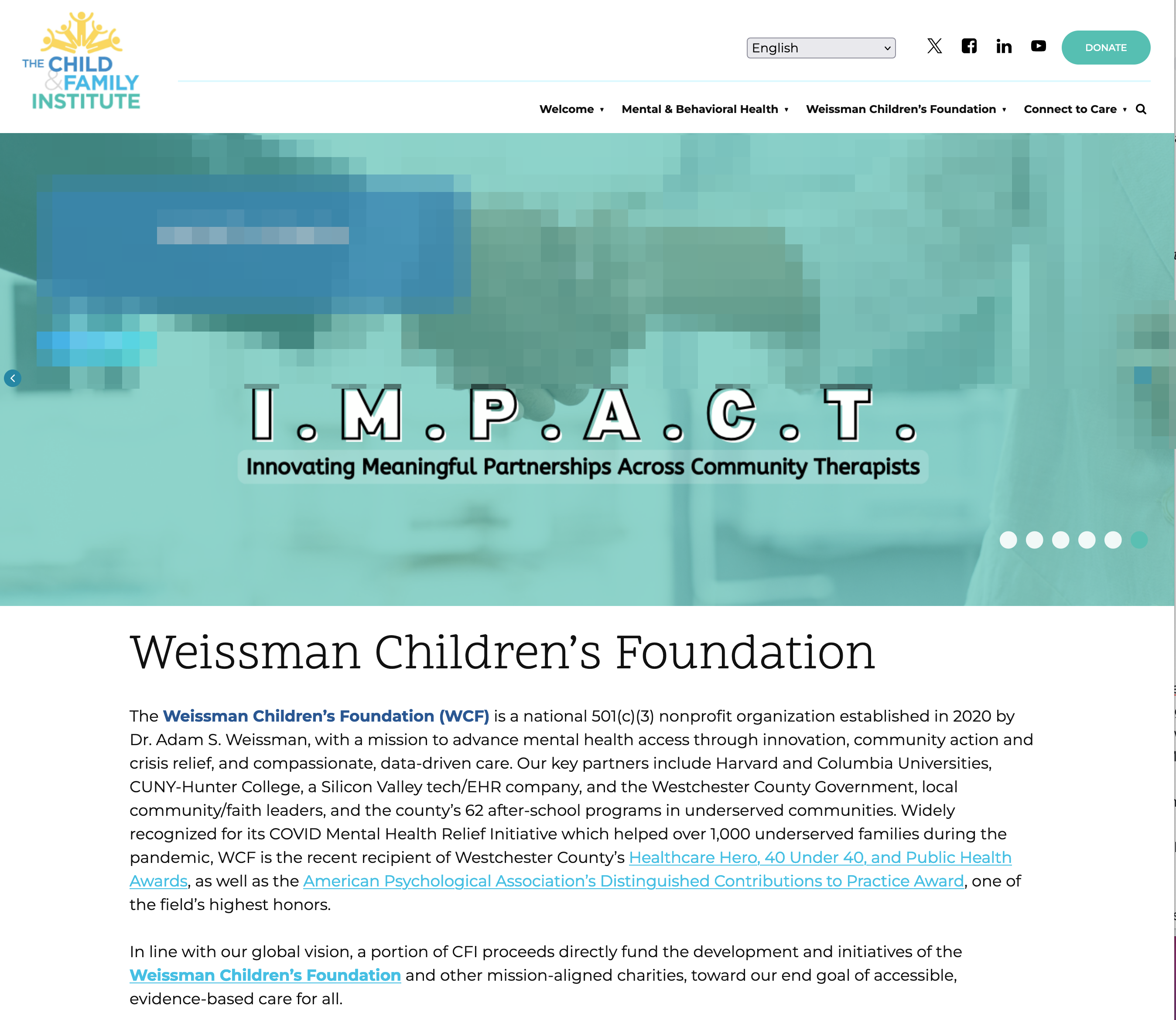 Child and Family Institute: New Website 2024: child-family-institute-websites-for-therapists-psychiatry-new-york-city-nyc-weissman-childrens-foundation