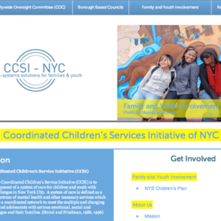 The Coordinated Children’s Service Initiative (CCSI)