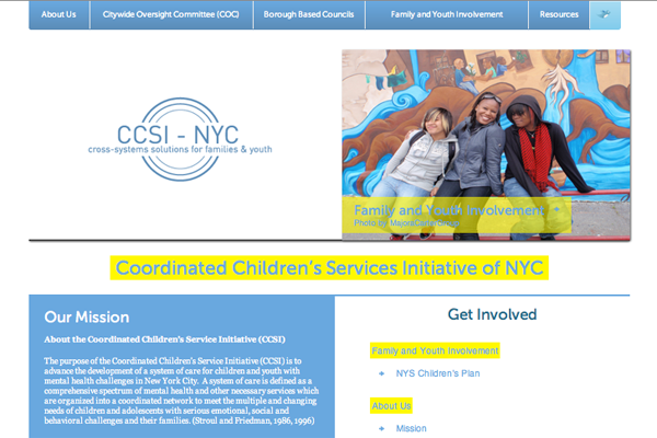 A New Brand & Web Presence for the Coordinated Children's Service Initiative