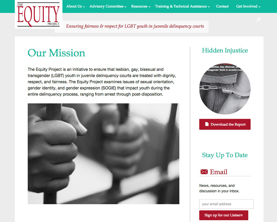 The Equity Project: Mission Statement
