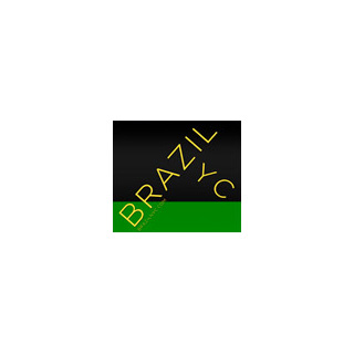 Brazil NYC Logo