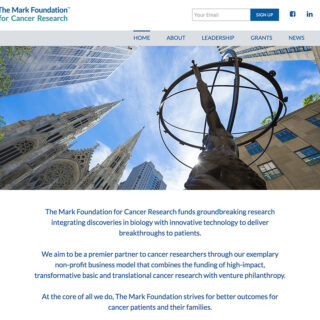 The Mark Foundation for Cancer Research