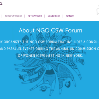 The NGO Committee on the Status of Women, NY (NGO CSW)