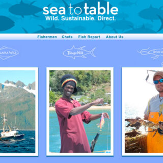 Sea to Table