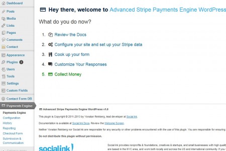 Advanced Payment Engine WordPress - Welcome Screen